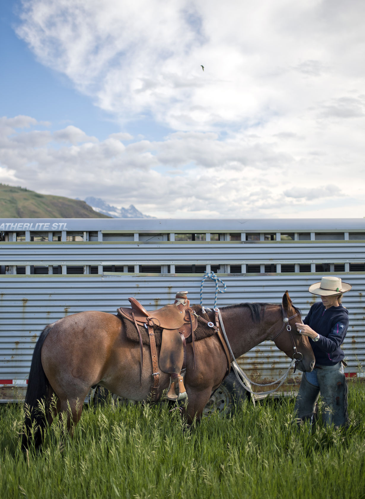 Mead Ranch branding